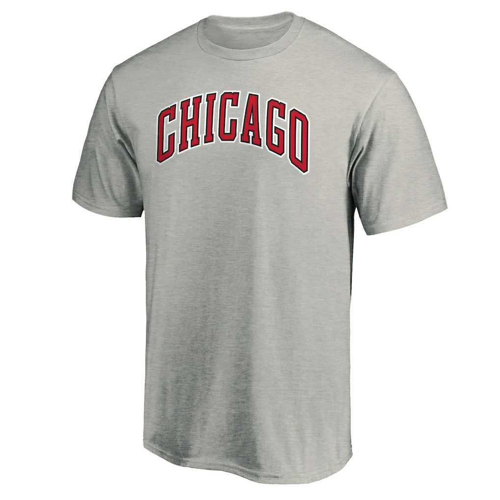Chicago Bulls Alternate Logo T-Shirt Heathered Gray - NBA