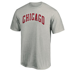 Chicago Bulls Alternate Logo T-Shirt Heathered Gray - NBA