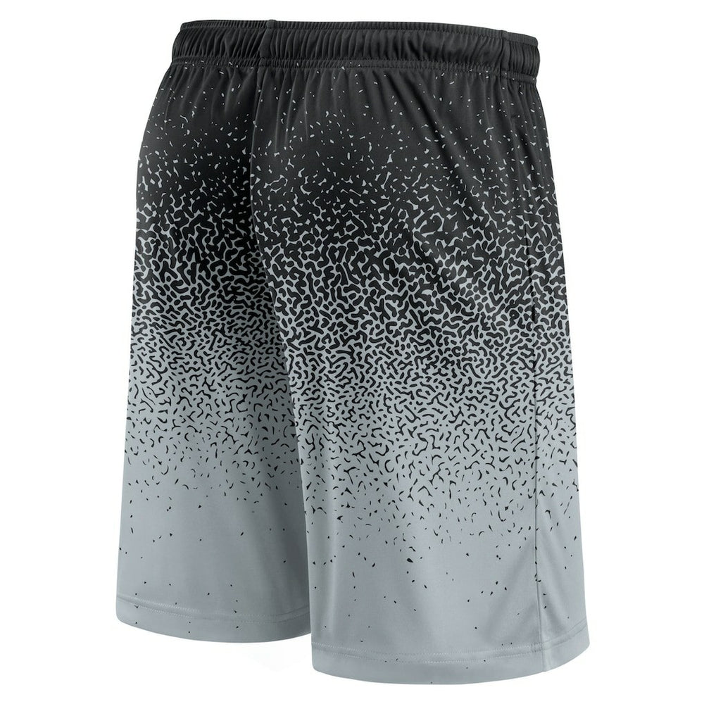 Las Vegas Raiders Ombre Shorts Black/Silver | Fanatics