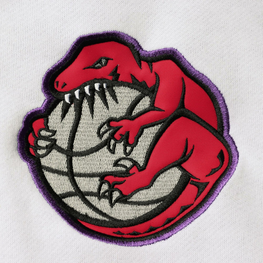 Toronto Raptors Hardwood Classics Fusion 2.0 Colorblock Pullover Hoodie Purple - NBA