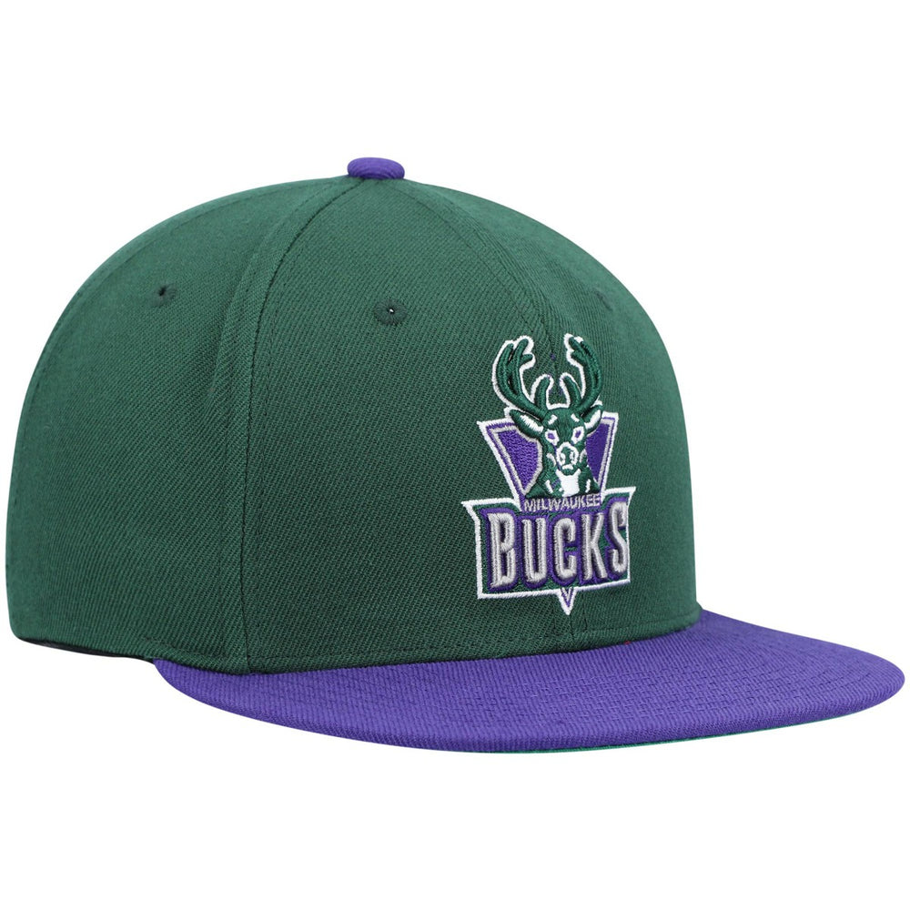 Milwaukee Bucks Hardwood Classics Team Two-Tone 2.0 Snapback Hat Green/Purple - NBA