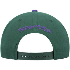 Milwaukee Bucks Hardwood Classics Team Two-Tone 2.0 Snapback Hat Green/Purple - NBA