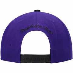 Sacramento Kings Hardwood Classics Snapback Hat Purple/Black - NBA