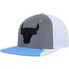 Chicago Bulls Day 5 Snapback Hat Silver/Blue - NBA