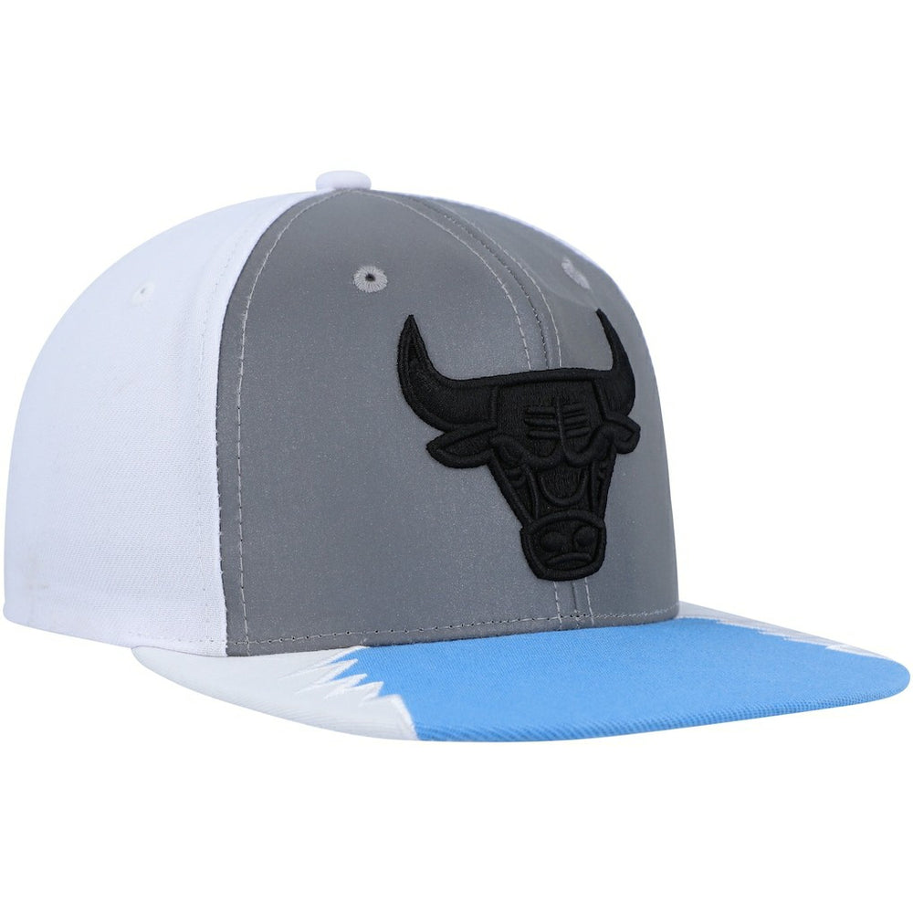 Chicago Bulls Day 5 Snapback Hat Silver/Blue - NBA
