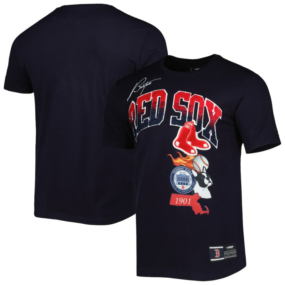 Boston Red Sox Pro Standard Hometown T-Shirt - MLB