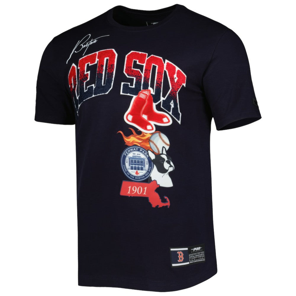 Boston Red Sox Pro Standard Hometown T-Shirt - MLB