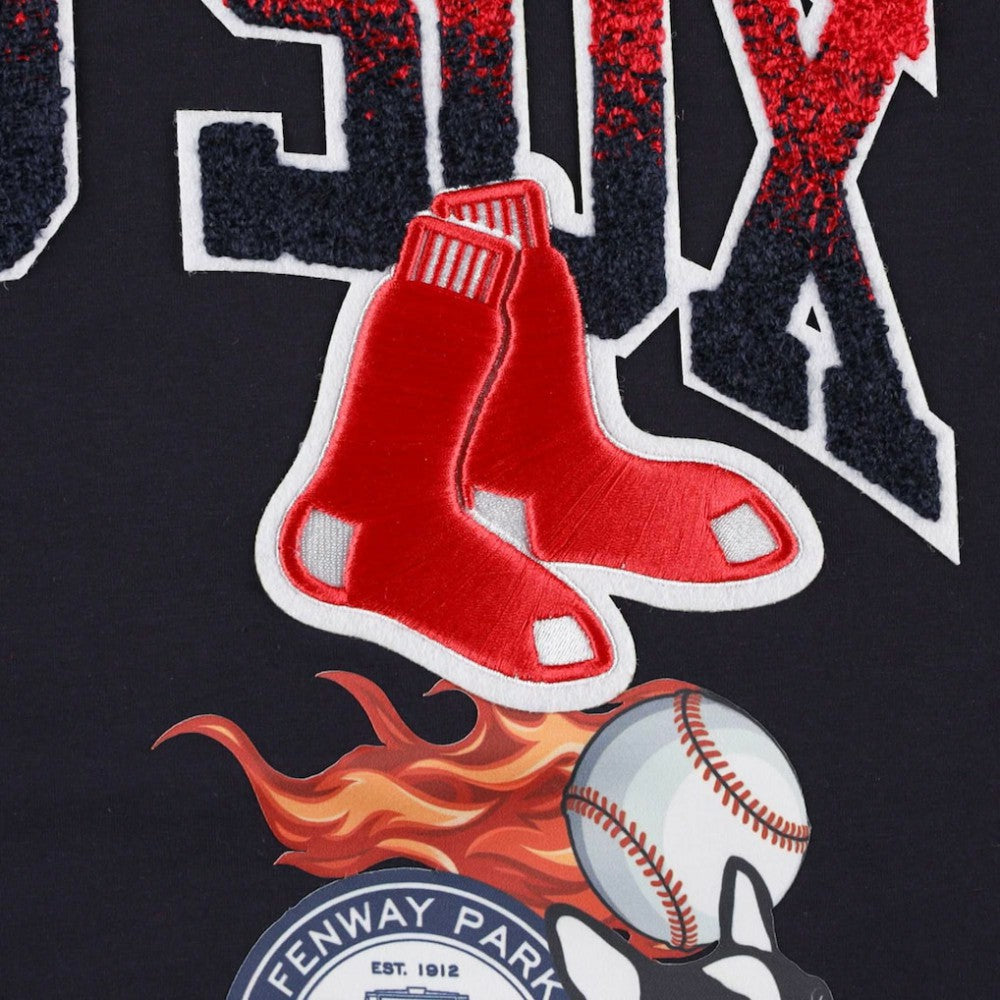 Boston Red Sox Pro Standard Hometown T-Shirt - MLB