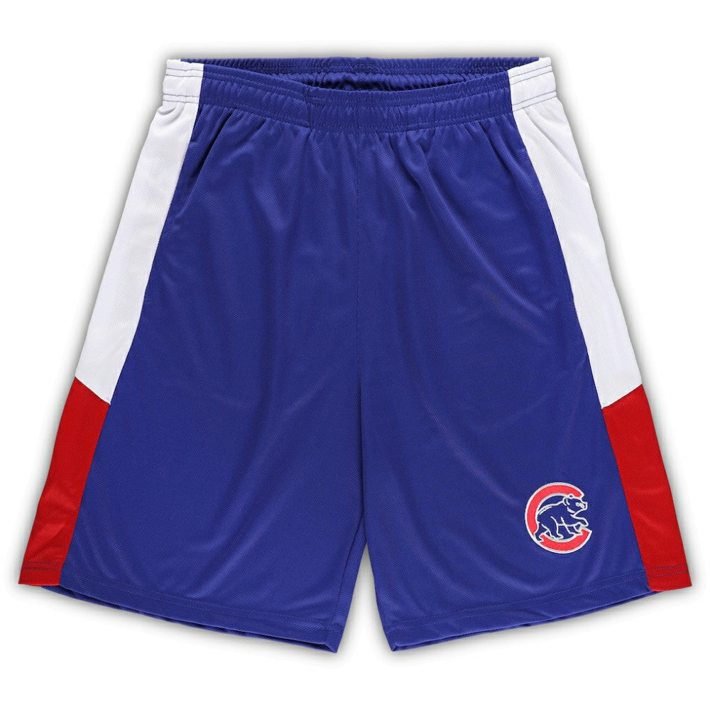 Chicago Cubs Big & Tall Team Shorts - MLB