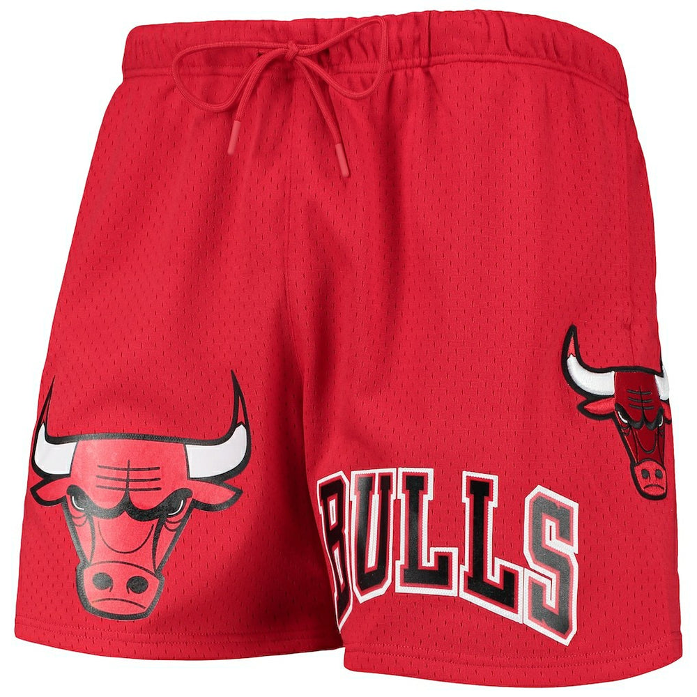 Chicago Bulls Pro Standard Mesh Capsule Shorts Red - NBA