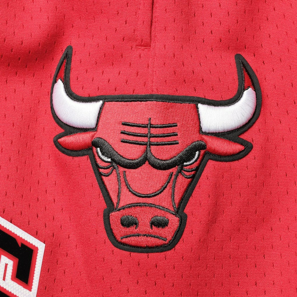 Chicago Bulls Pro Standard Mesh Capsule Shorts Red - NBA