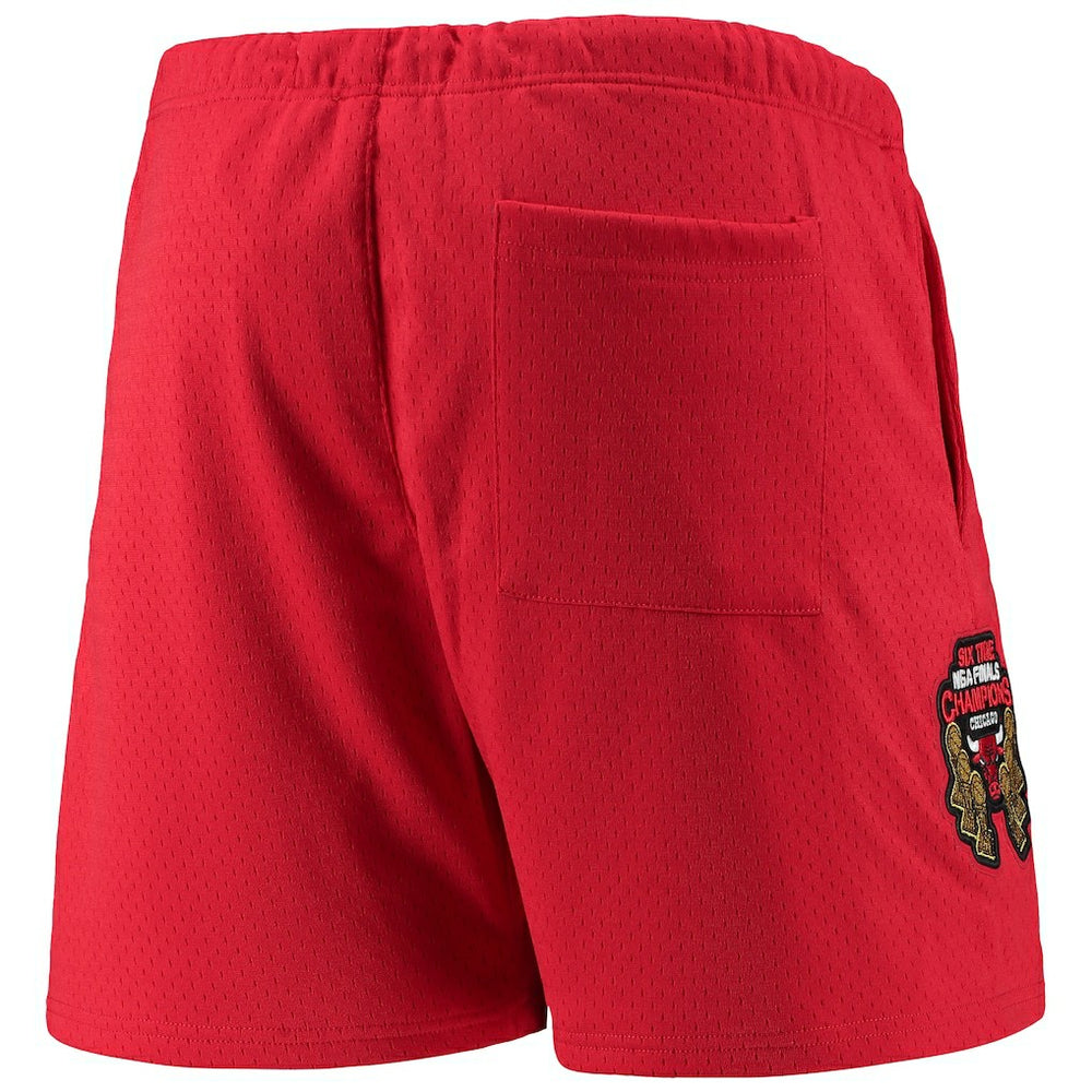 Chicago Bulls Pro Standard Mesh Capsule Shorts Red - NBA