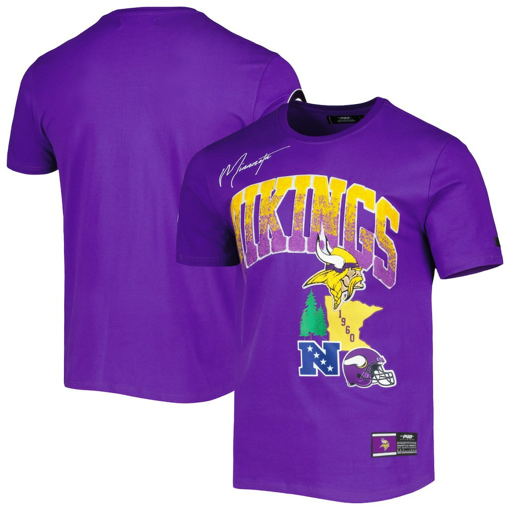 Minnesota Vikings Pro Standard Hometown Collection T-Shirt Purple | NFL