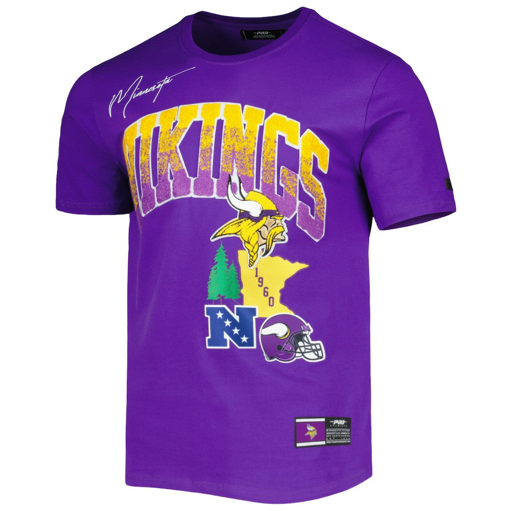 Minnesota Vikings Pro Standard Hometown Collection T-Shirt Purple | NFL