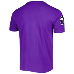 Minnesota Vikings Pro Standard Hometown Collection T-Shirt Purple | NFL