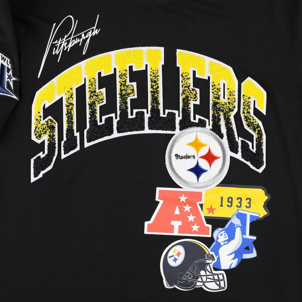 Pittsburgh Steelers Pro Standard Hometown Collection T-Shirt Black | NFL