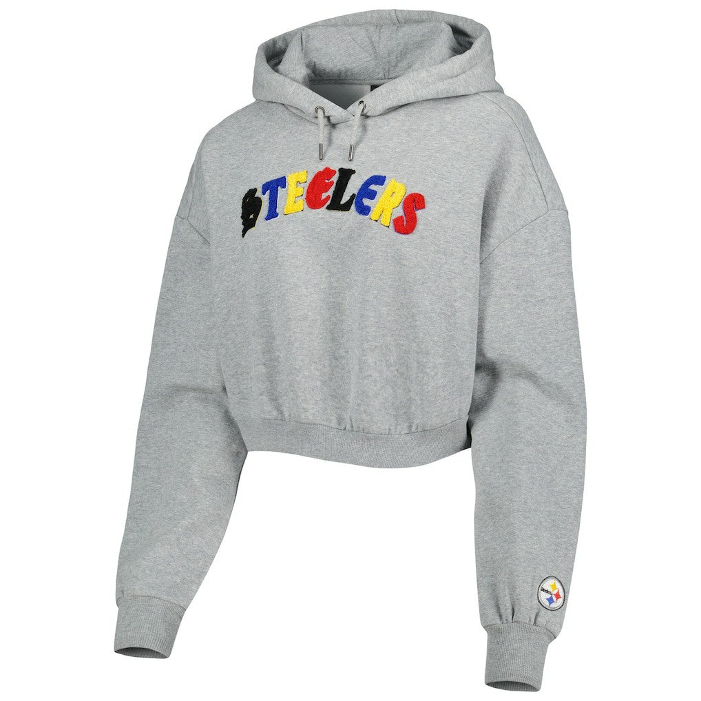 Pittsburgh Steelers The Wild Collective Women's Cropped Pullover Hoodie Gray | NFL
