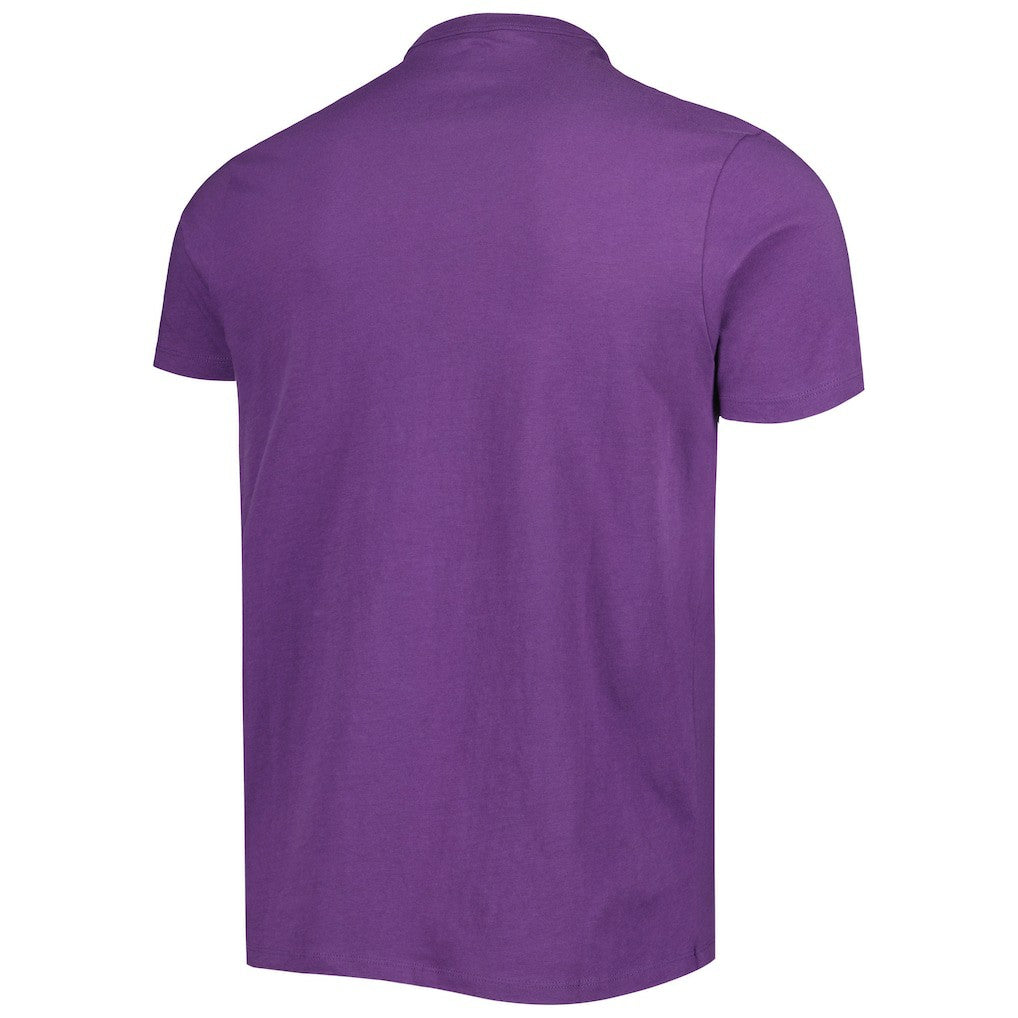 Minnesota Vikings '47 All Arch Franklin T-Shirt Purple | 47 brand