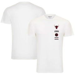 Chicago Bulls Sportiqe Unisex 1966 Collection City Flag Bingham T-Shirt White - NBA