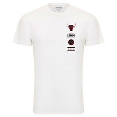 Chicago Bulls Sportiqe Unisex 1966 Collection City Flag Bingham T-Shirt White - NBA