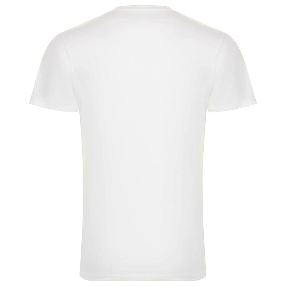 Chicago Bulls Sportiqe Unisex 1966 Collection City Flag Bingham T-Shirt White - NBA