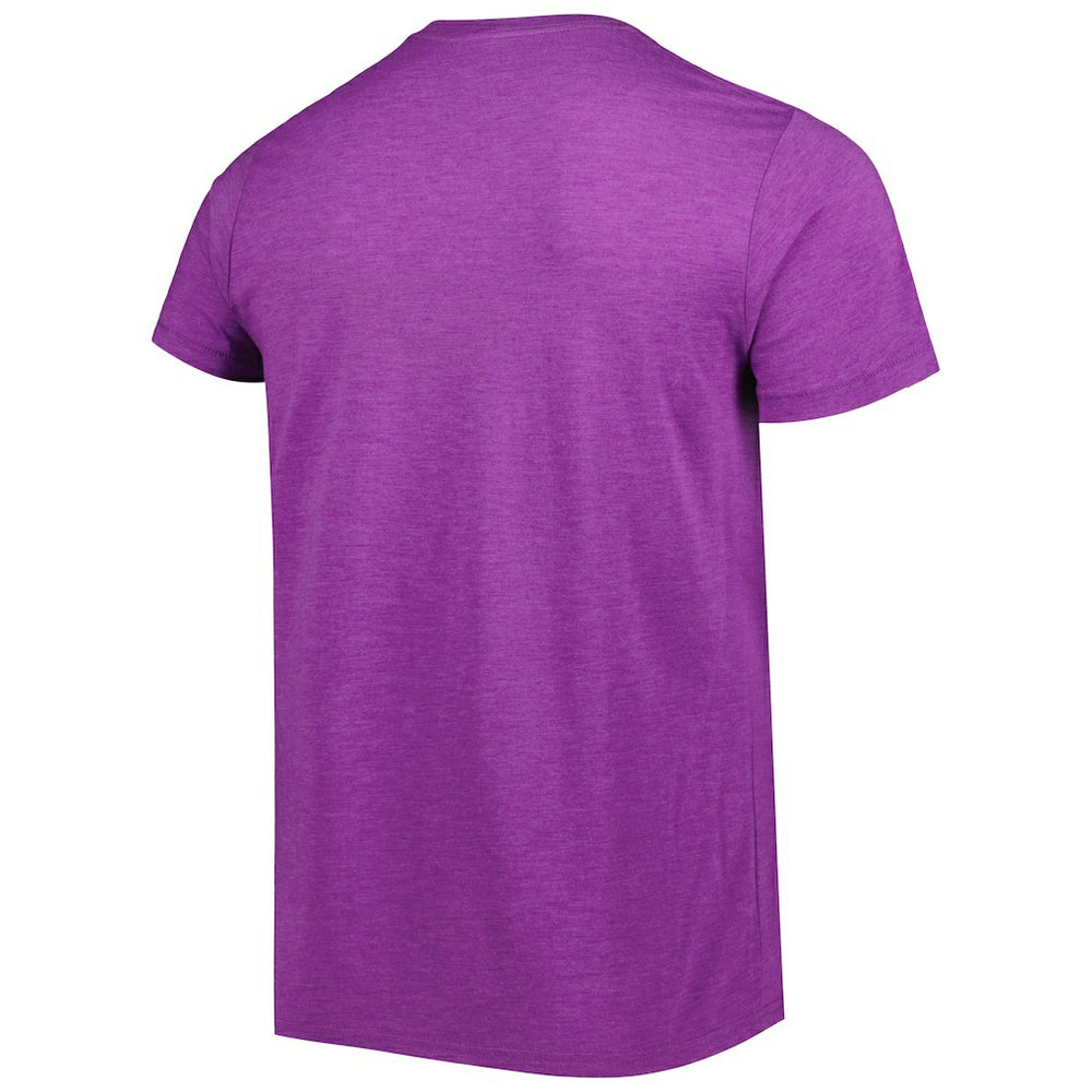 Minnesota Vikings Homage Dome Dog Hyper Local Tri-Blend T-Shirt Purple | NFL