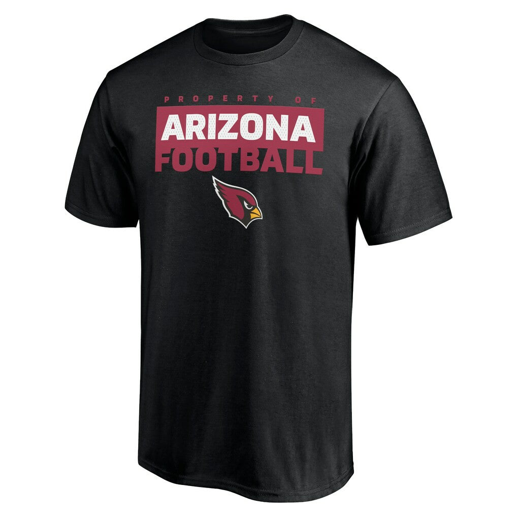 Arizona Cardinals Gain Ground T-Shirt Black | NFL