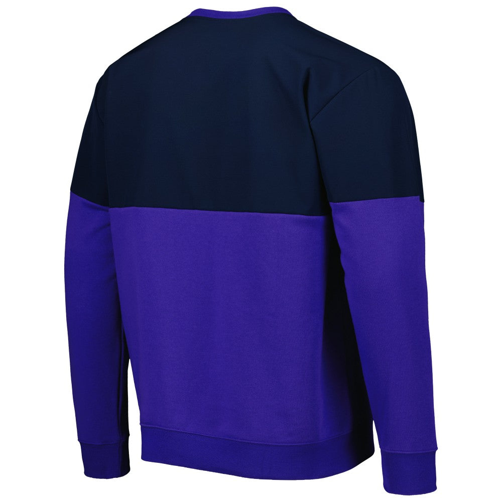Argentina National Team Graphic Pullover Sweatshirt Navy/Purple | Adidas Online