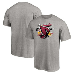 Arizona Cardinals True Color T-Shirt Heather Gray | NFL