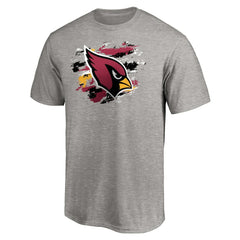 Arizona Cardinals True Color T-Shirt Heather Gray | NFL
