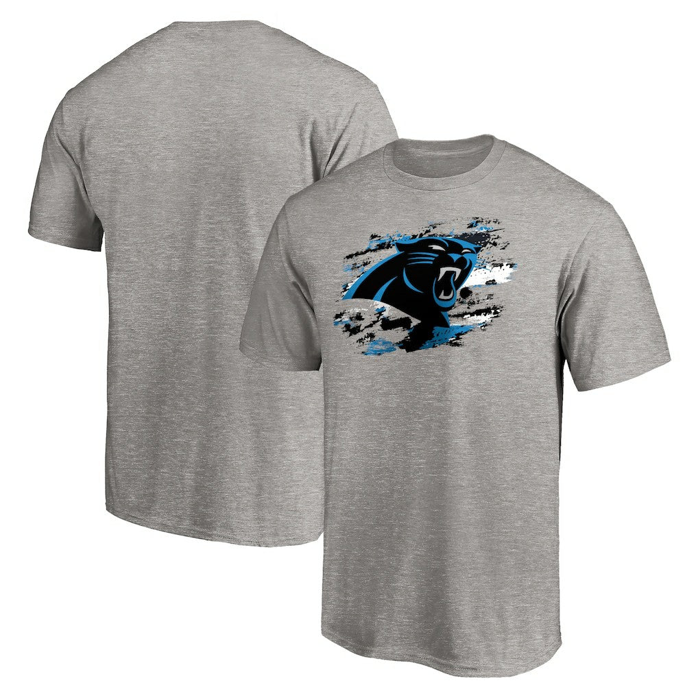 Carolina Panthers True Color T-Shirt Heather Gray | NFL