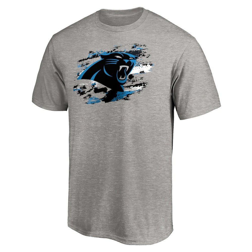 Carolina Panthers True Color T-Shirt Heather Gray | NFL