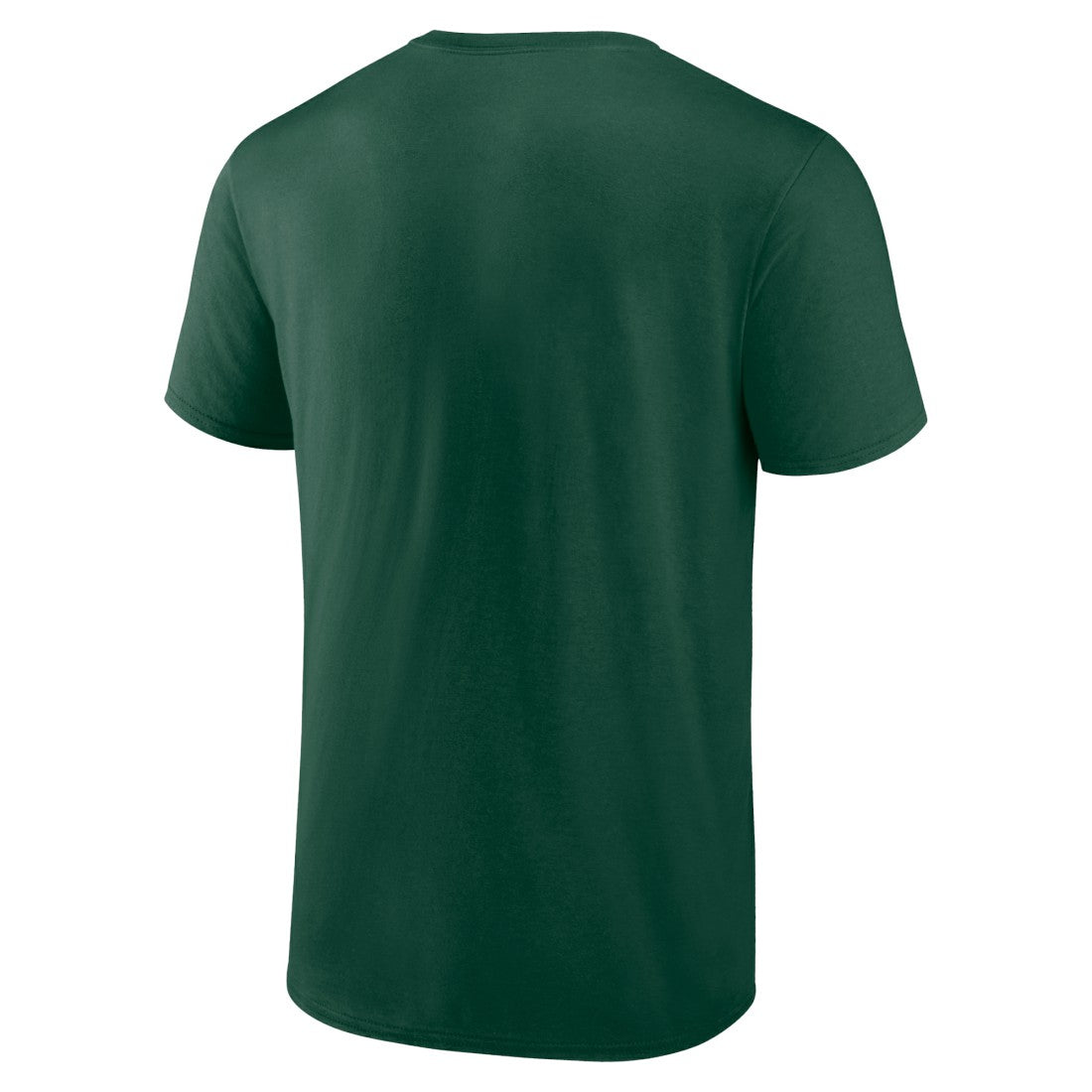 Green Bay Packers Hometown Collection Sweep T-Shirt Green | NFL