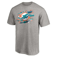 Miami Dolphins True Color T-Shirt Heather Gray | NFL