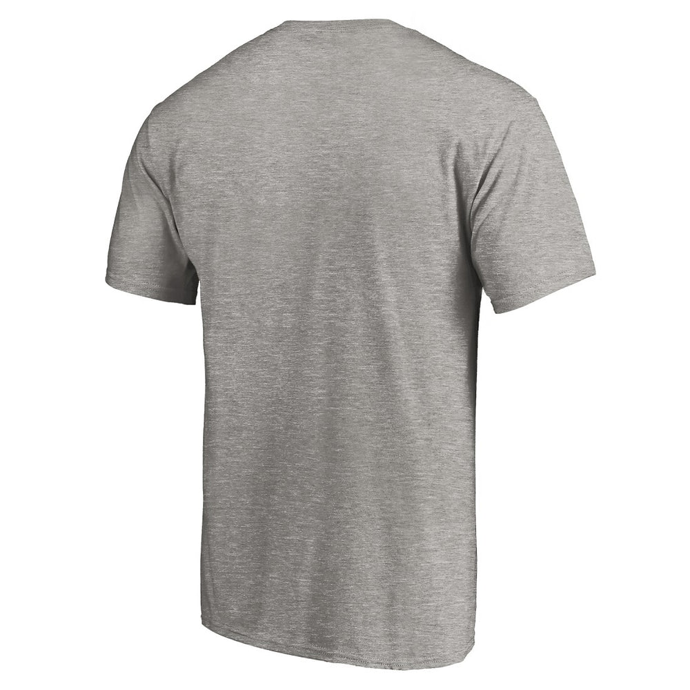Seattle Seahawks True Color T-Shirt Heather Gray | NFL