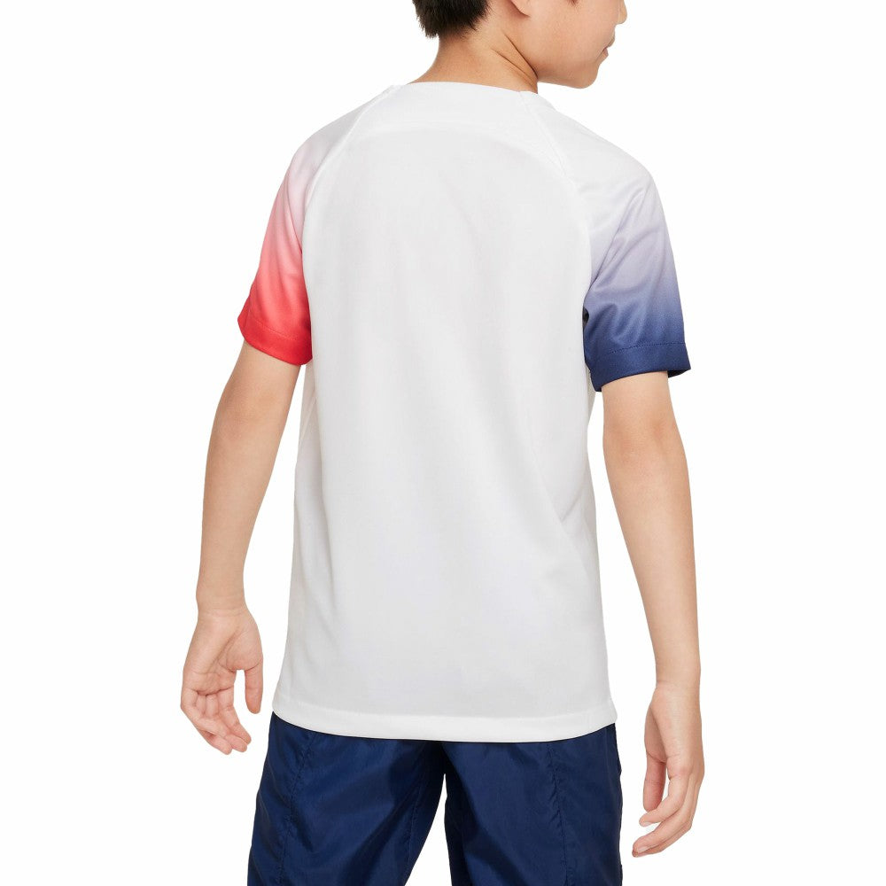 Paris Saint-Germain Youth 2023/24 Academy Pro Performance Pre-Match Top White | Nike Online