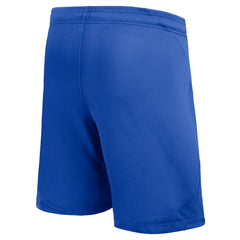 Barcelona Youth 2023/24 Away Stadium Performance Shorts Royal | Nike