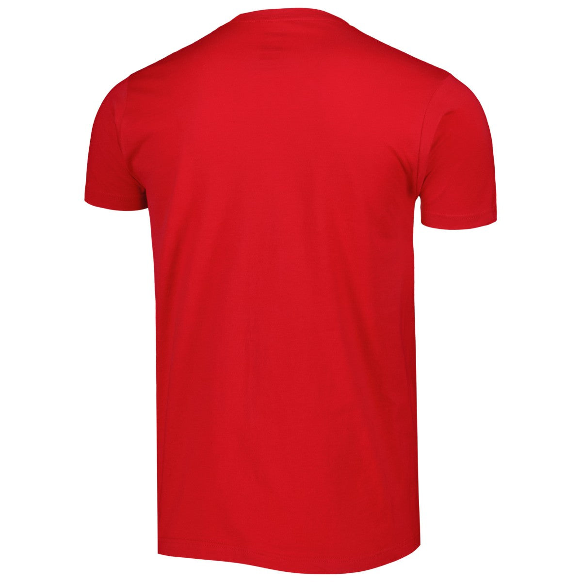 Washington Wizards Stadium Essentials Unisex Element Logo Pop T-Shirt Red - NBA