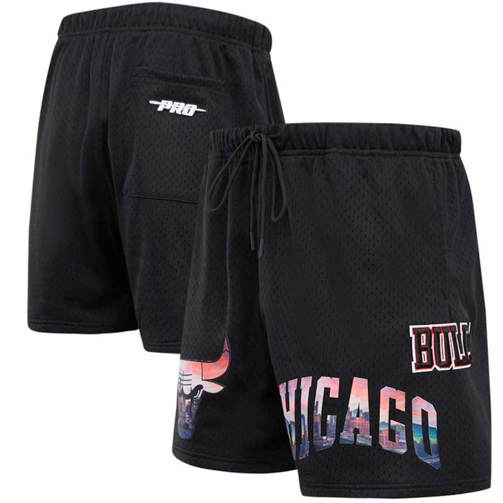 Chicago Bulls Pro Standard City Scape Mesh Shorts Black - NBA