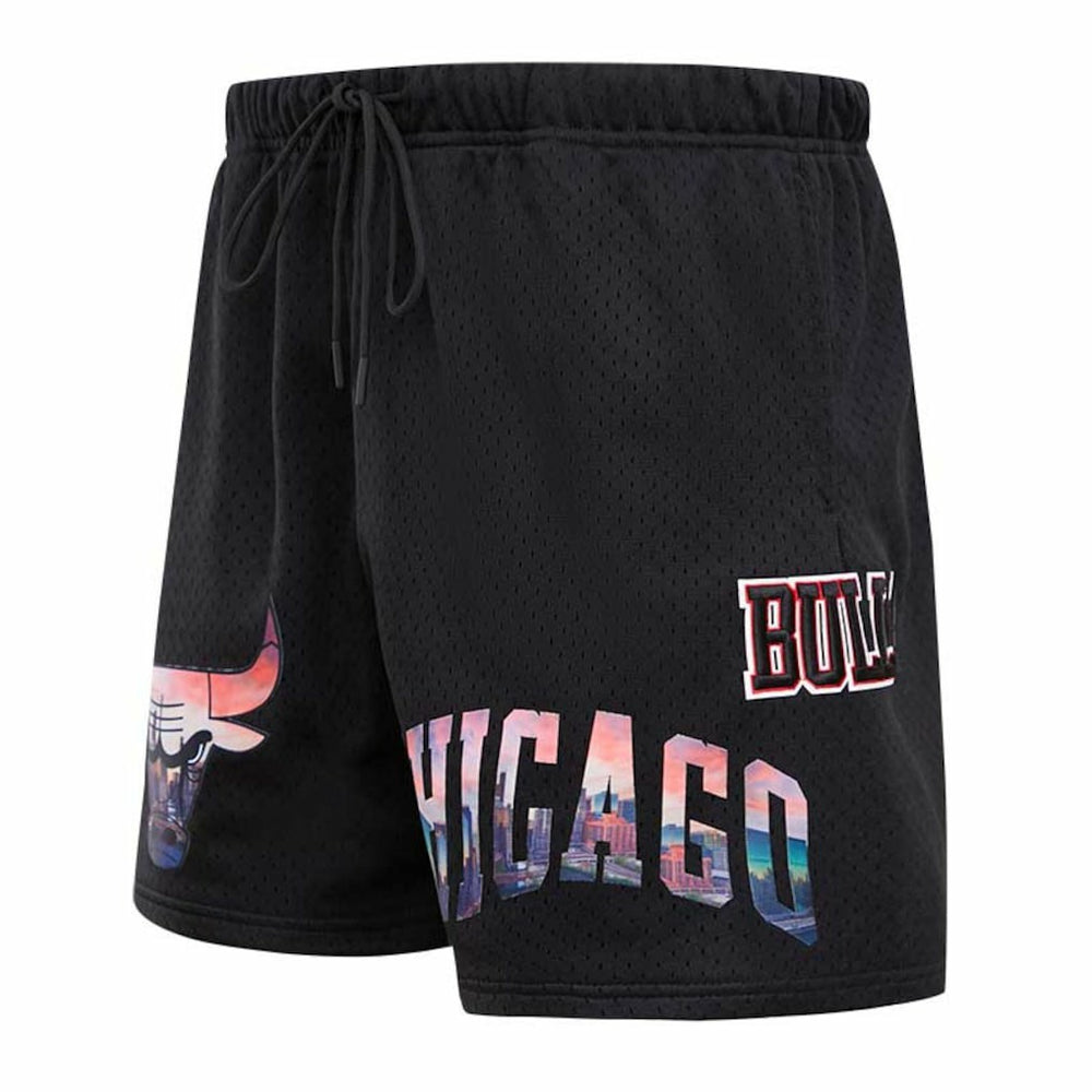 Chicago Bulls Pro Standard City Scape Mesh Shorts Black - NBA