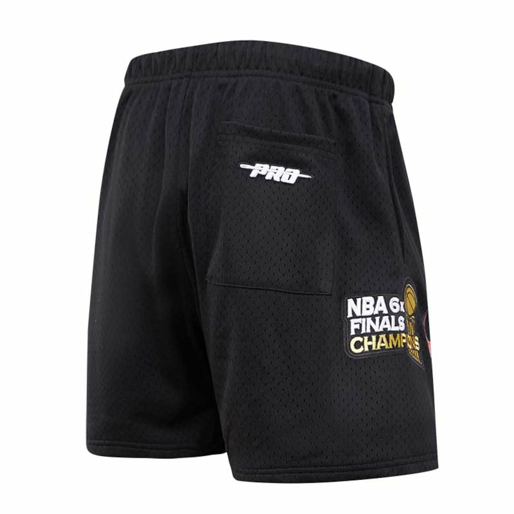 Chicago Bulls Pro Standard City Scape Mesh Shorts Black - NBA