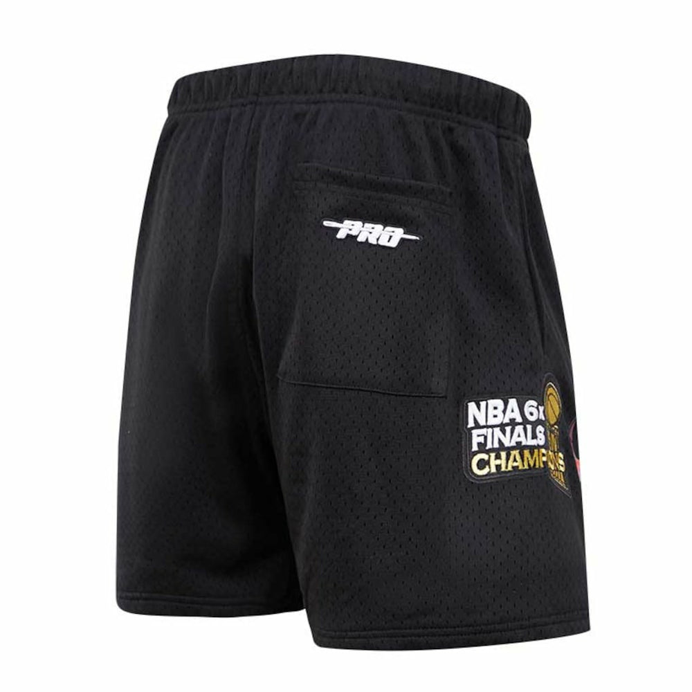 Chicago Bulls Pro Standard City Scape Mesh Shorts Black - NBA