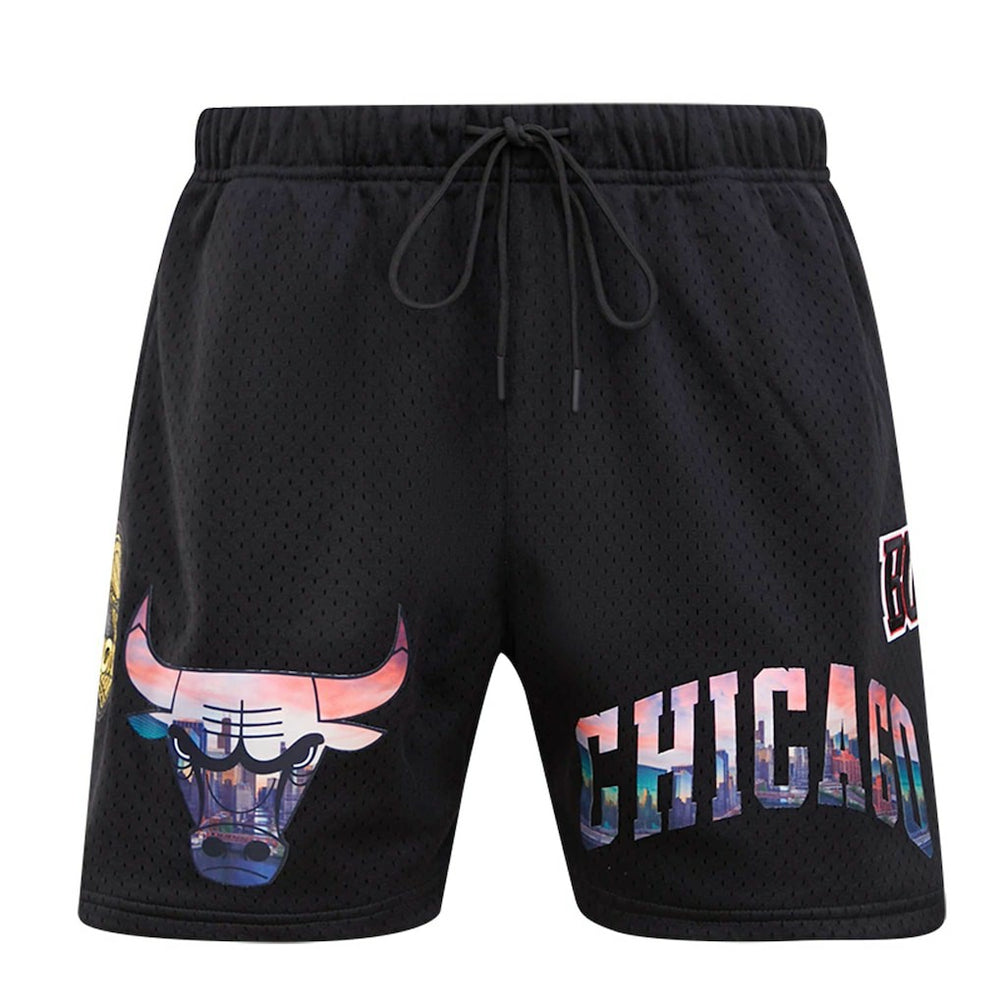 Chicago Bulls Pro Standard City Scape Mesh Shorts Black - NBA