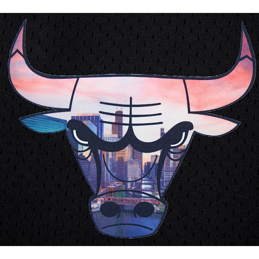 Chicago Bulls Pro Standard City Scape Mesh Shorts Black - NBA