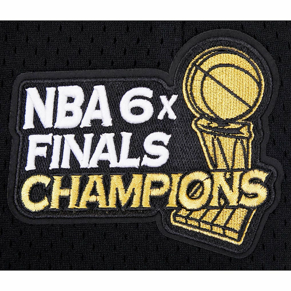Chicago Bulls Pro Standard City Scape Mesh Shorts Black - NBA