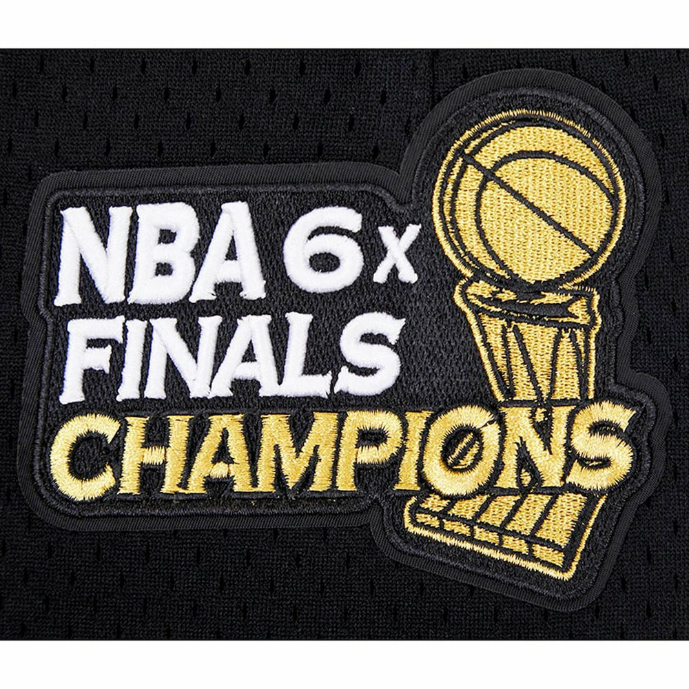 Chicago Bulls Pro Standard City Scape Mesh Shorts Black - NBA