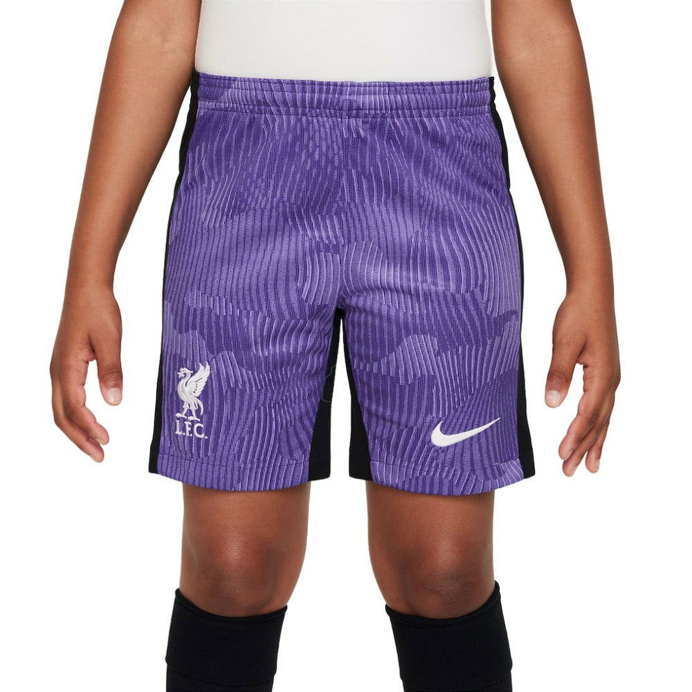 Liverpool Youth 2023/24 Third Stadium Performance Shorts Purple | Nike Sale