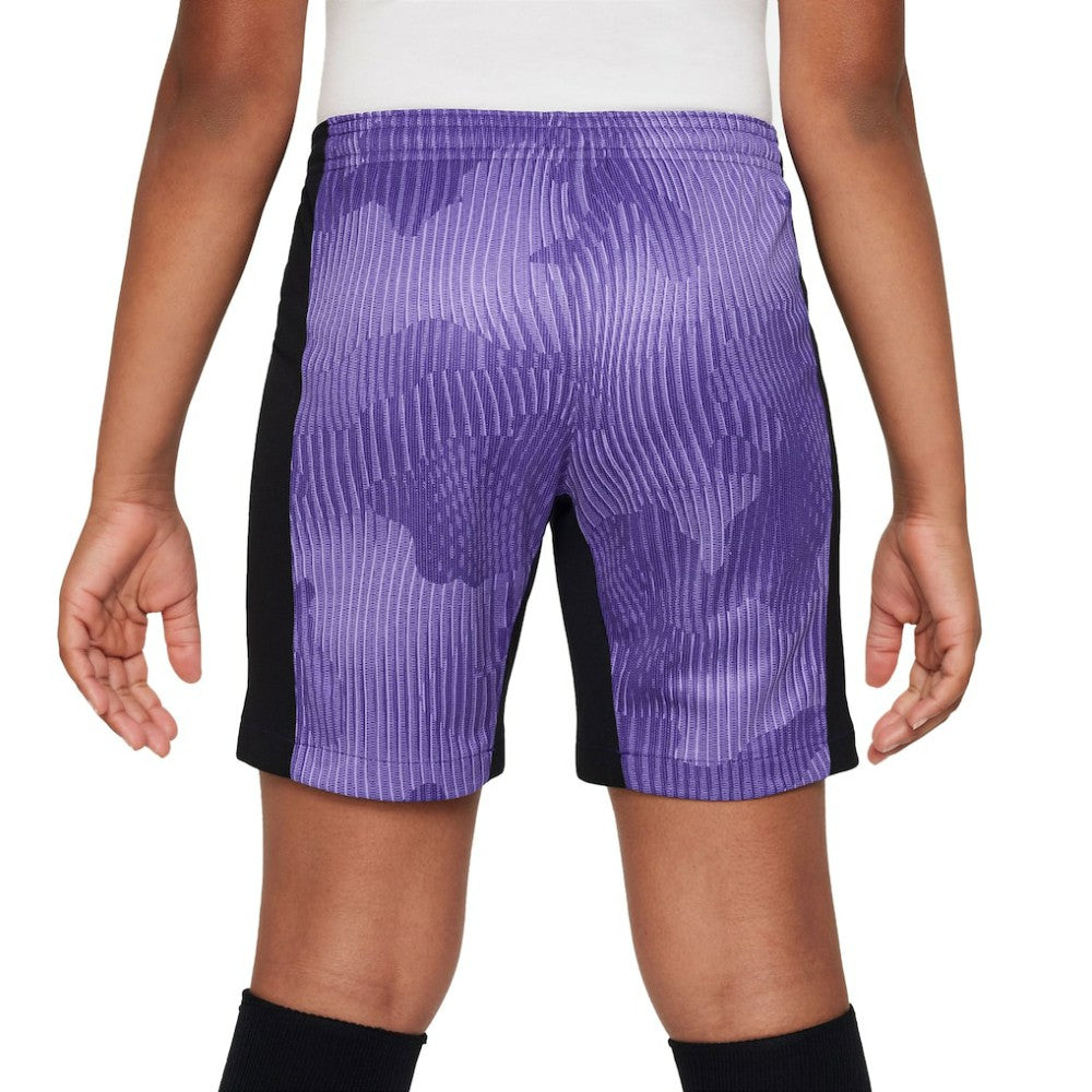 Liverpool Youth 2023/24 Third Stadium Performance Shorts Purple | Nike Sale