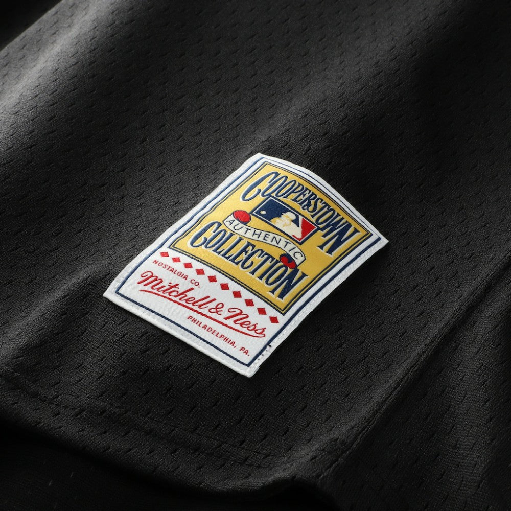Craig Biggio Houston Astros Mitchell & Ness Authentic Batting Practice Jersey - MLB
