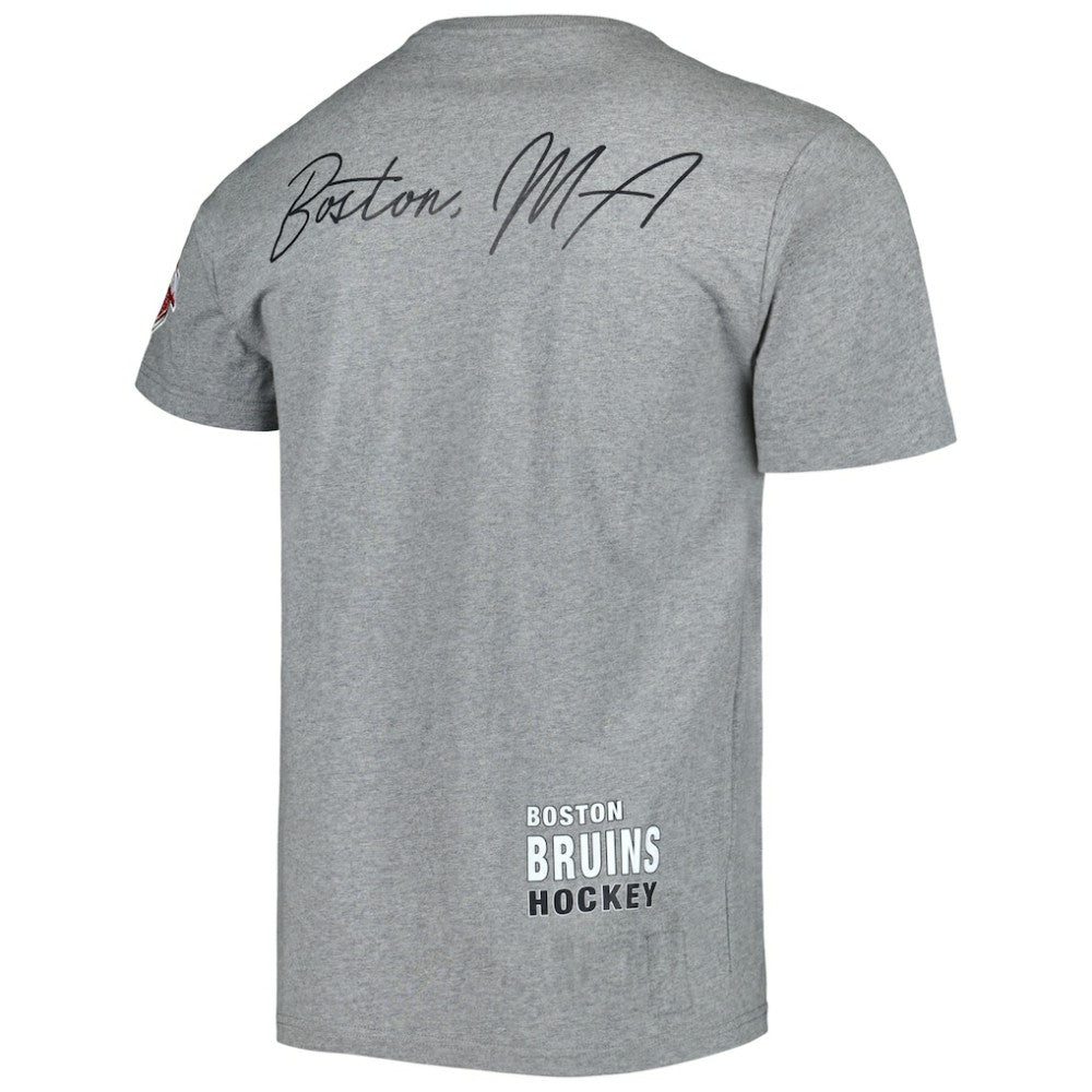 Boston Bruins Mitchell & Ness City Collection T-Shirt - Heather Gray - NHL